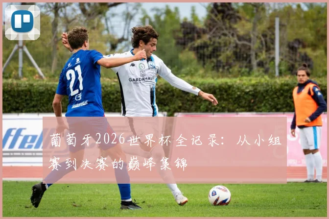 葡萄牙2026世界杯全记录：从小组赛到决赛的巅峰集锦