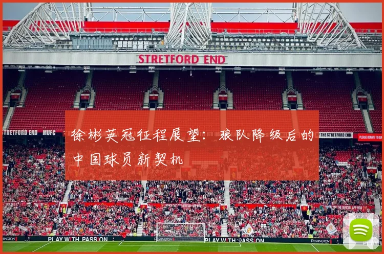 徐彬英冠征程展望：狼队降级后的中国球员新契机