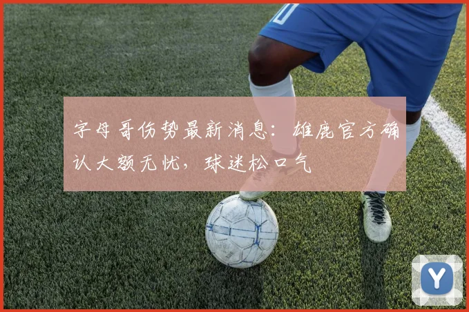 字母哥伤势最新消息：雄鹿官方确认大额无忧，球迷松口气